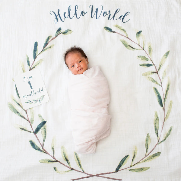 Lulujo Milestone Blankets