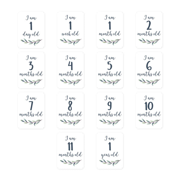 Lulujo Milestone Blankets