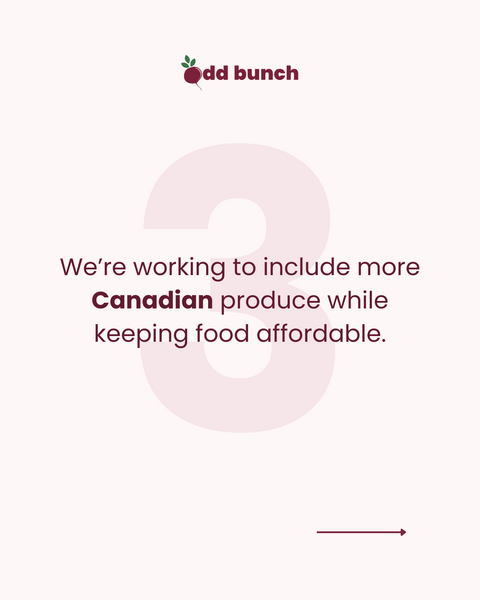 Odd Bunch Produce Delivery 4-Week Trial 🇨🇦