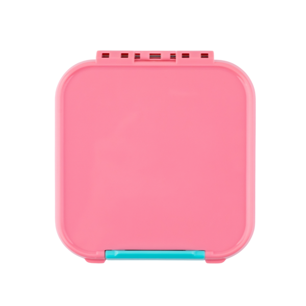 Montii Co. Leak-Proof Bento Two