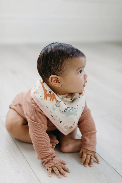 Loulou Lollipop Bandana Bib Set