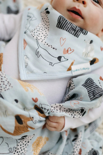 Loulou Lollipop Bandana Bib Set