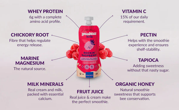 Gnubees Kids Fruit Shakes - 12 Pack Single Flavour