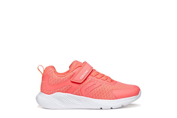 Geox Sprintye Lightweight Sneaker