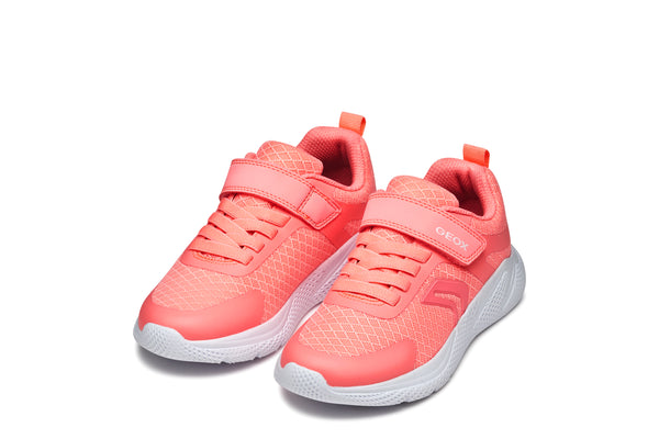 Geox Sprintye Lightweight Sneaker