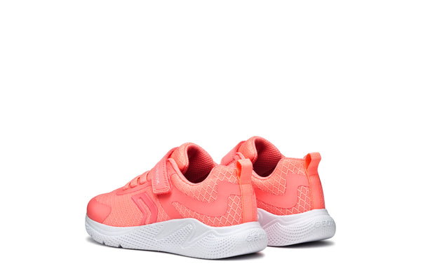 Geox Sprintye Lightweight Sneaker