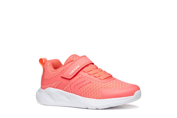 Geox Sprintye Lightweight Sneaker