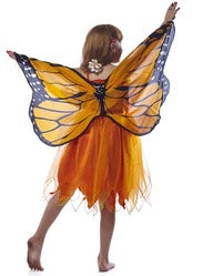 Dreamy Dress Ups Wings