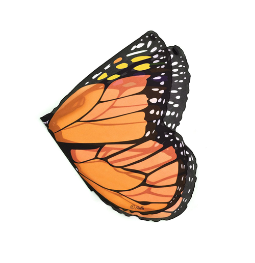 Dreamy Dress Ups Wings