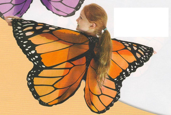 Dreamy Dress Ups Wings