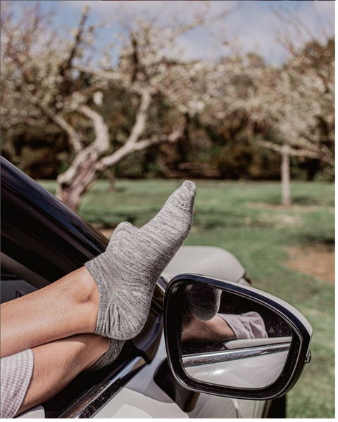 Lamington Merino Wool Sneaker Socks (2-Pack) - Women