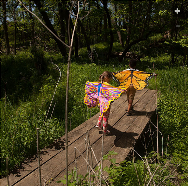 Dreamy Dress Ups Wings