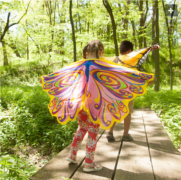 Dreamy Dress Ups Wings