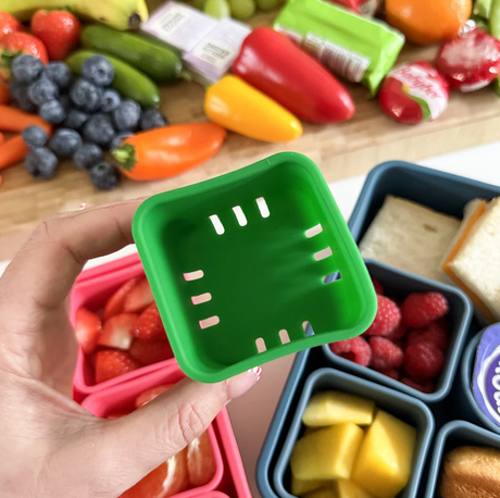 Pick Plates Silicone Snackle Box