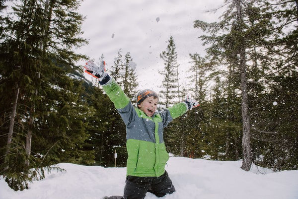 Sea to Sky Gondola Family Annual Pass
