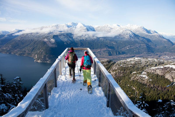 Sea to Sky Gondola Family Annual Pass