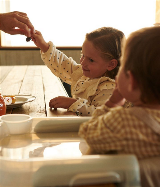 Inglesina Fast Dining Tray