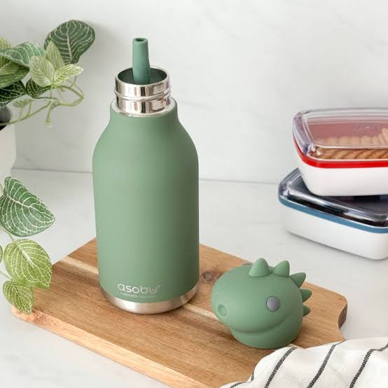 Asobu Bestie 16oz Insulated Stainless Steel Water Bottle 🇨🇦