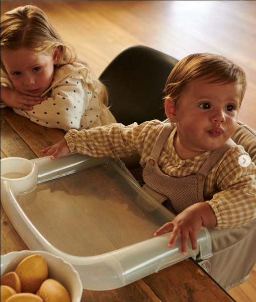 Inglesina Fast Dining Tray