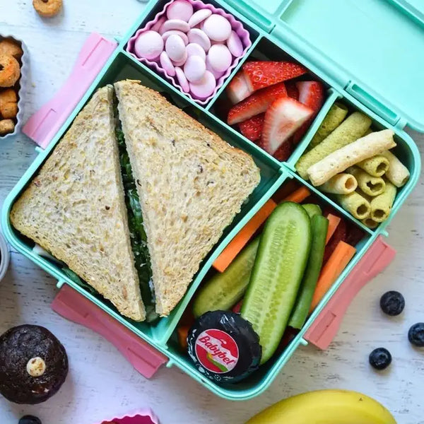 Montii Co. Leak-Proof Bento Plus