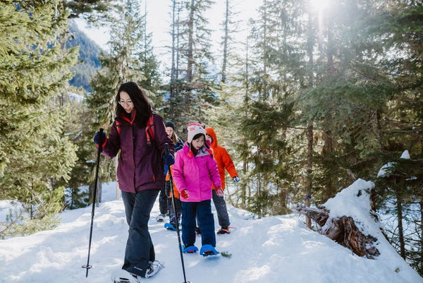 Sea to Sky Gondola Family Annual Pass