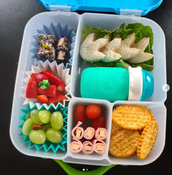 Squeasy Snacker Food Pouch