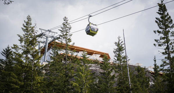 Sea to Sky Gondola Family Annual Pass