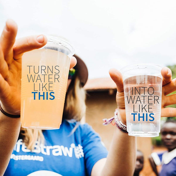 LifeStraw Peak Series Straw Water Filter