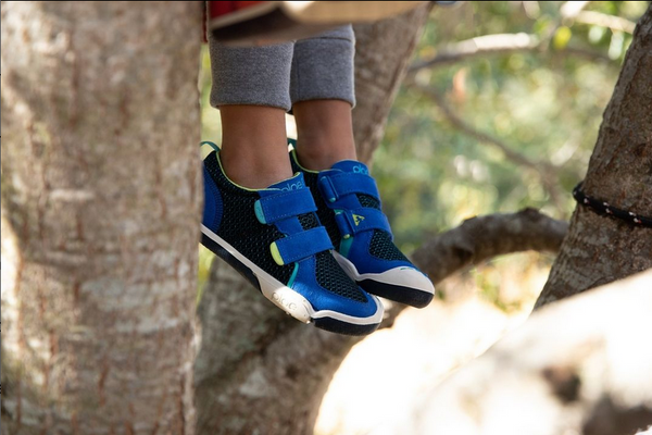Plae Ty Sneaker