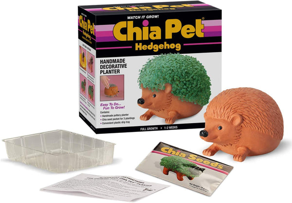 Chia Pet