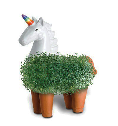 Chia Pet