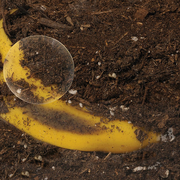 Educational Insights See-Through Compost Container