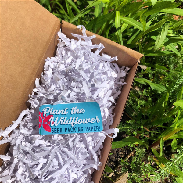 Earthy Good Teen DIY Body Care Kits - Lip Balm 🇨🇦