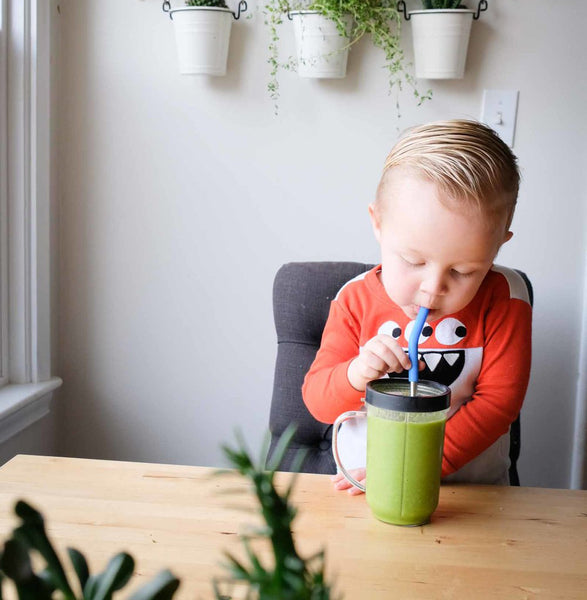 Klean Kanteen Stainless Steel Straws