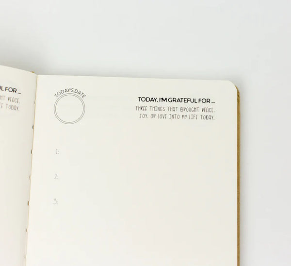 Little Renegades Mindful Kids Journal: Gratitude