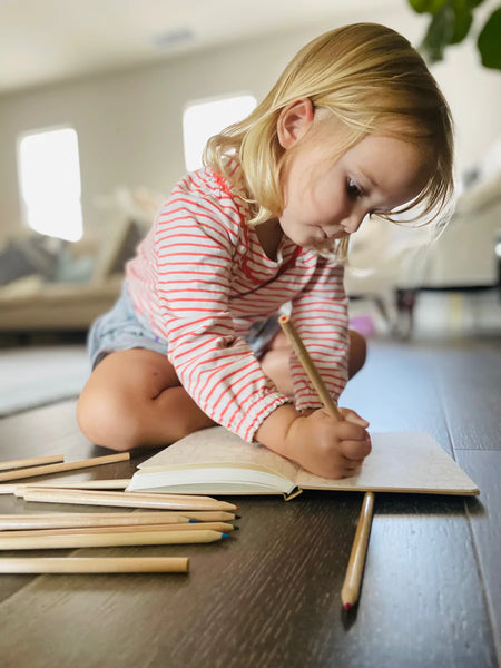 Little Renegades Mindful Kids Journal: Gratitude