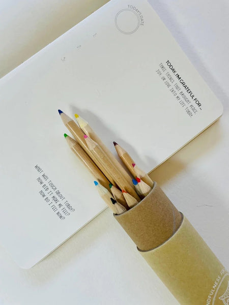 Little Renegades Mindful Kids Journal: Gratitude
