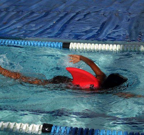 SwimFin