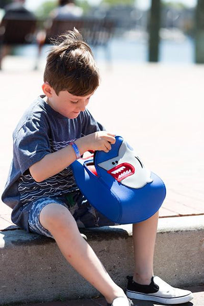 Dabbawalla Lunch Bags